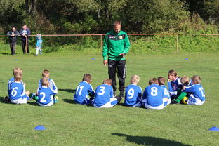 爱游戏APP-欧洲杯总冠军之争：战术智慧与个人能力的较量，欧洲杯冠军百度百科